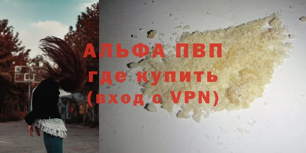 стаф Абинск