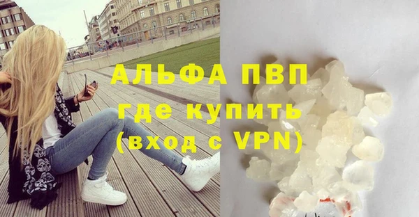 стаф Абинск