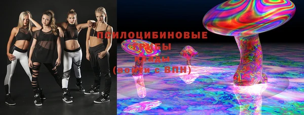 стаф Абинск