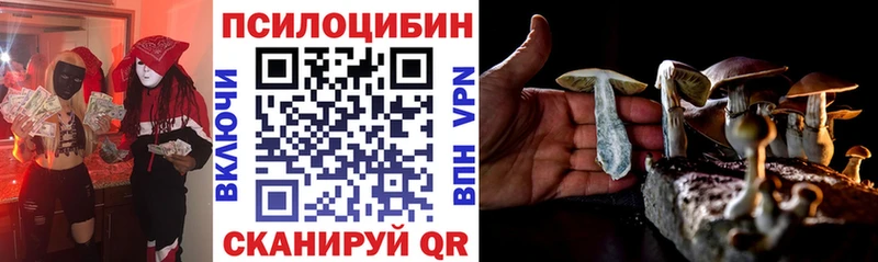 Галлюциногенные грибы прущие грибы  Грязи 